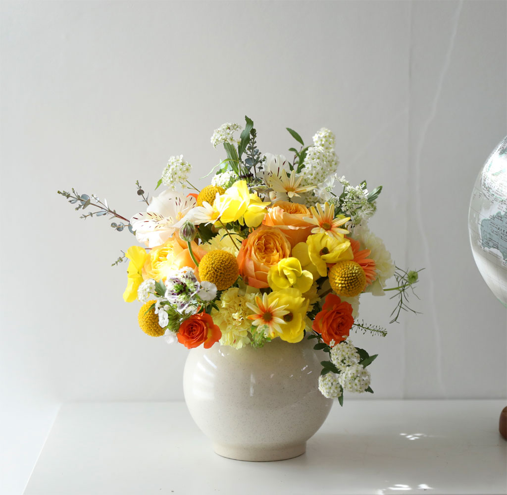 ���� ����� ��� - ������ ���� ���� �ɹ��