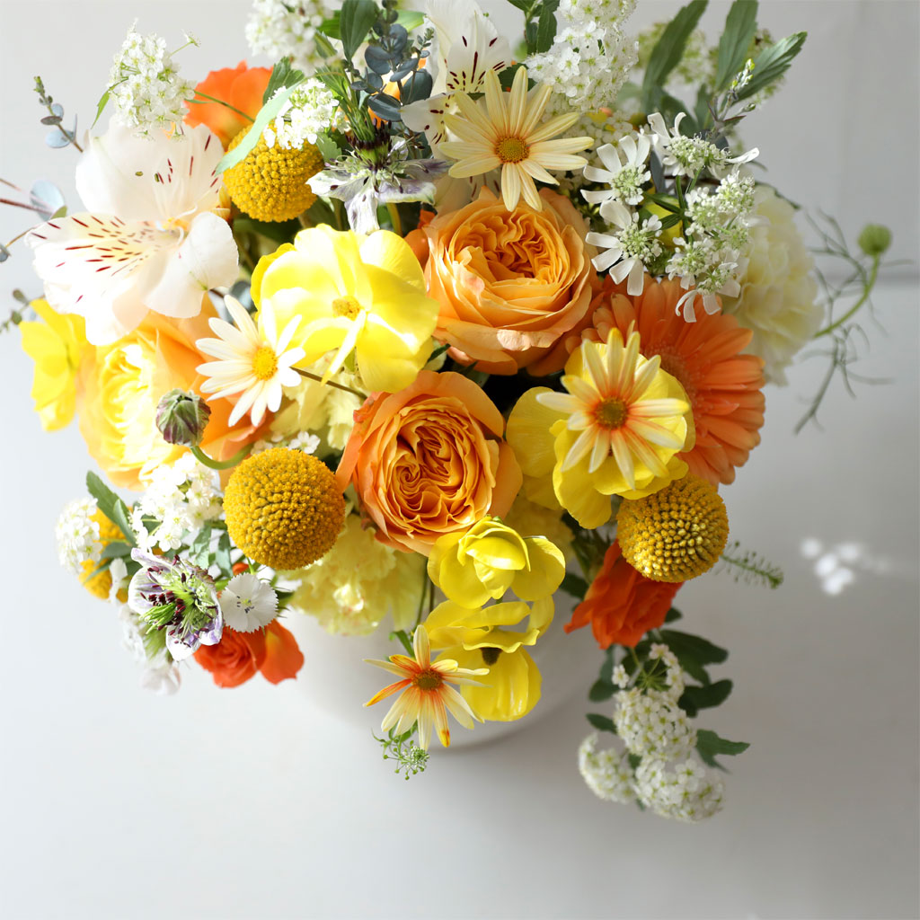 ���� ����� ��� - ������ ���� ���� �ɹ��