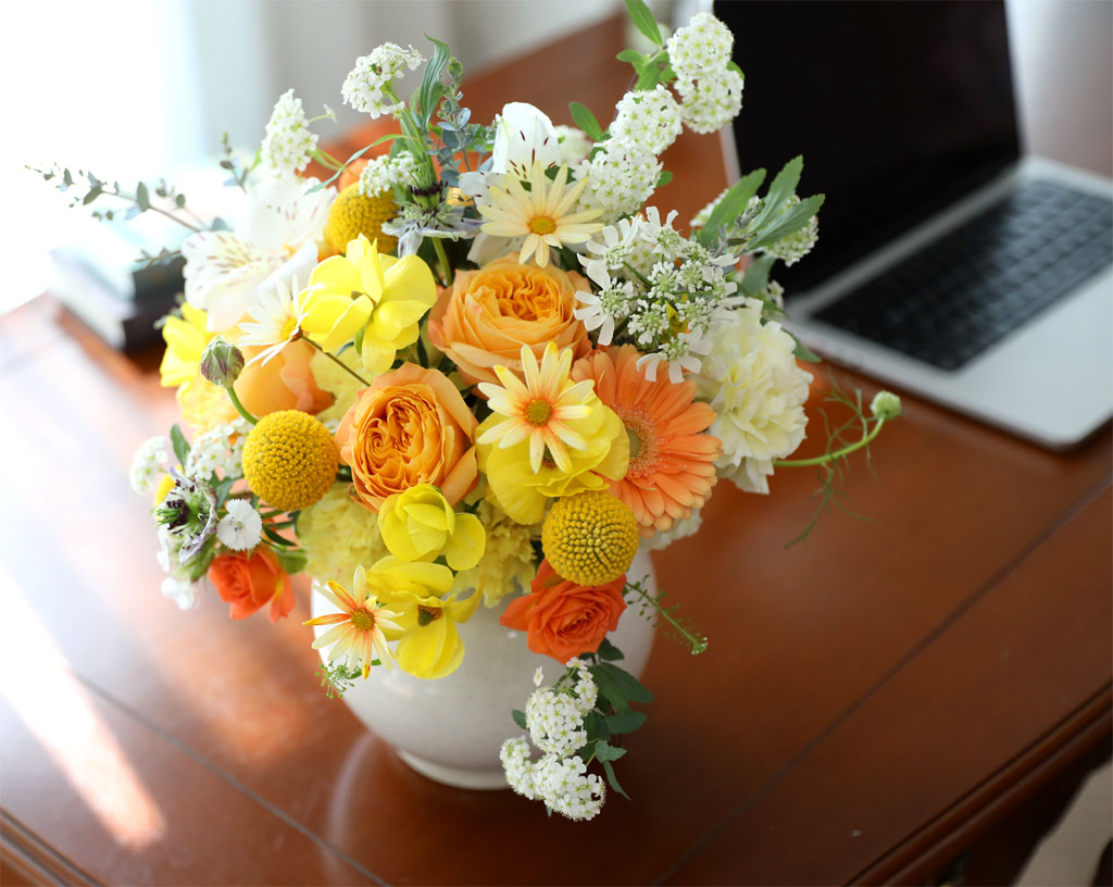 ���� ����� ��� - ������ ���� ���� �ɹ��