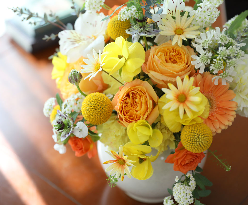 ���� ����� ��� - ������ ���� ���� �ɹ��