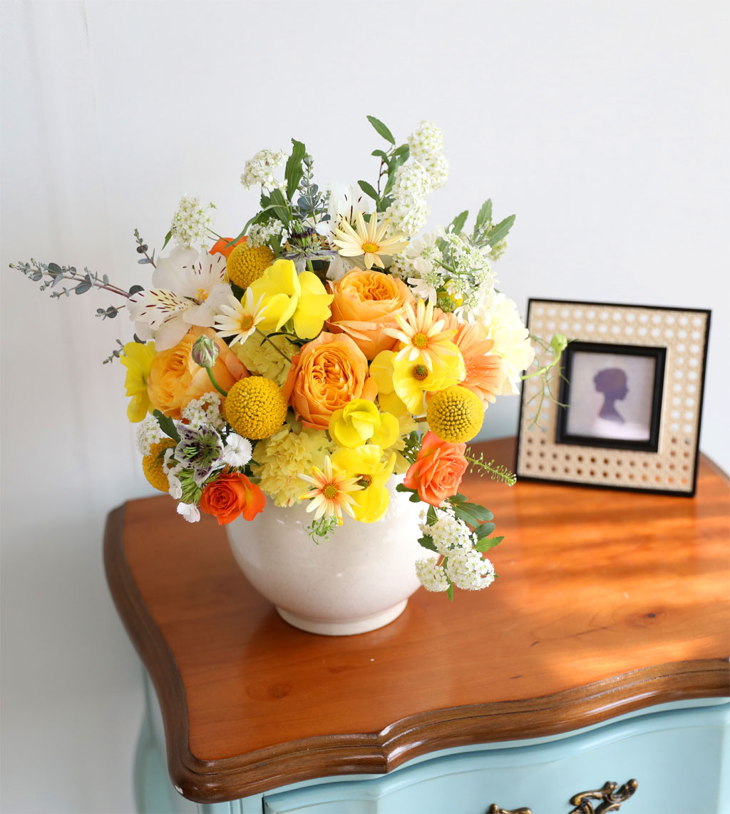 ���� ����� ��� - ������ ���� ���� �ɹ��