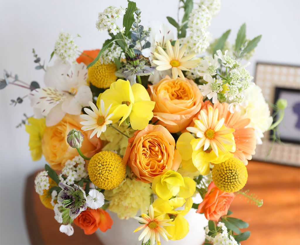 ���� ����� ��� - ������ ���� ���� �ɹ��