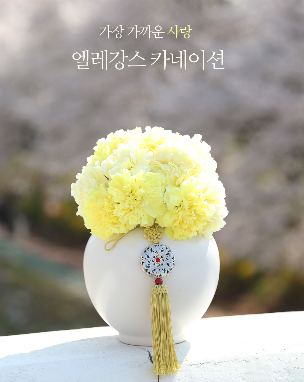 ���� ����� ��� - ��������ī���̼� ���� �ɹ��