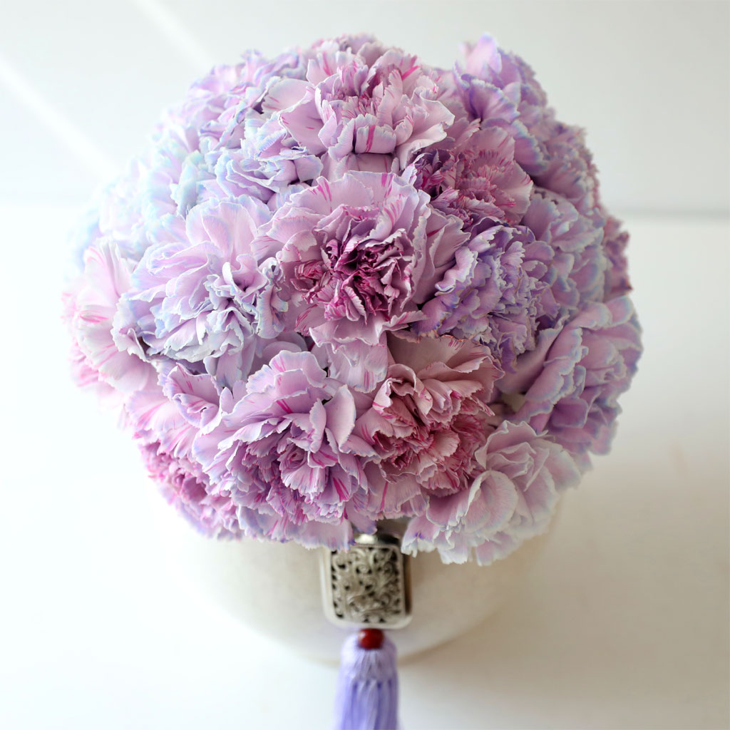 ���׾Ƹ� ī���̼� - Purple ���� �ɹ��