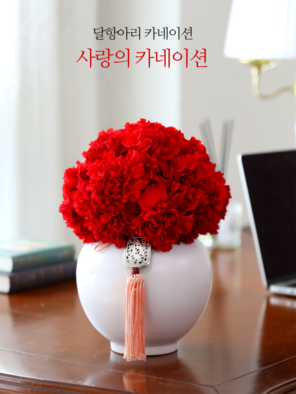 ���׾Ƹ� ī���̼� - ����� ī���̼� ���� �ɹ��