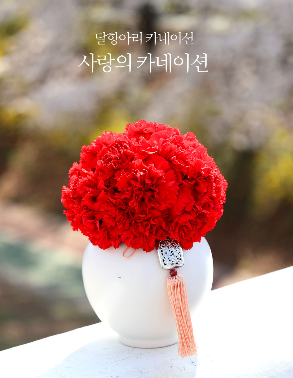 ���׾Ƹ� ī���̼� - ����� ī���̼� ���� �ɹ��