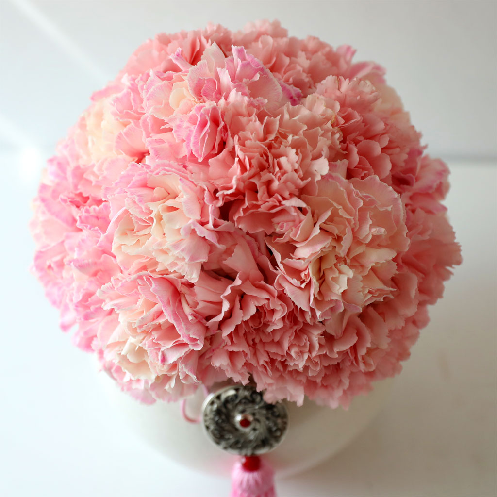 ���׾Ƹ� ī���̼� - �ǰ��ϼ��� ���� �ɹ��