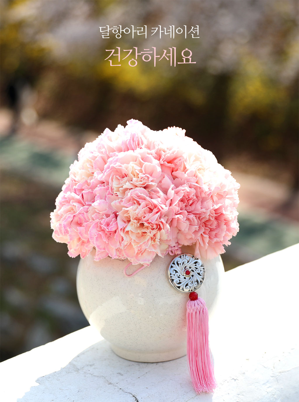 ���׾Ƹ� ī���̼� - �ǰ��ϼ��� ���� �ɹ��