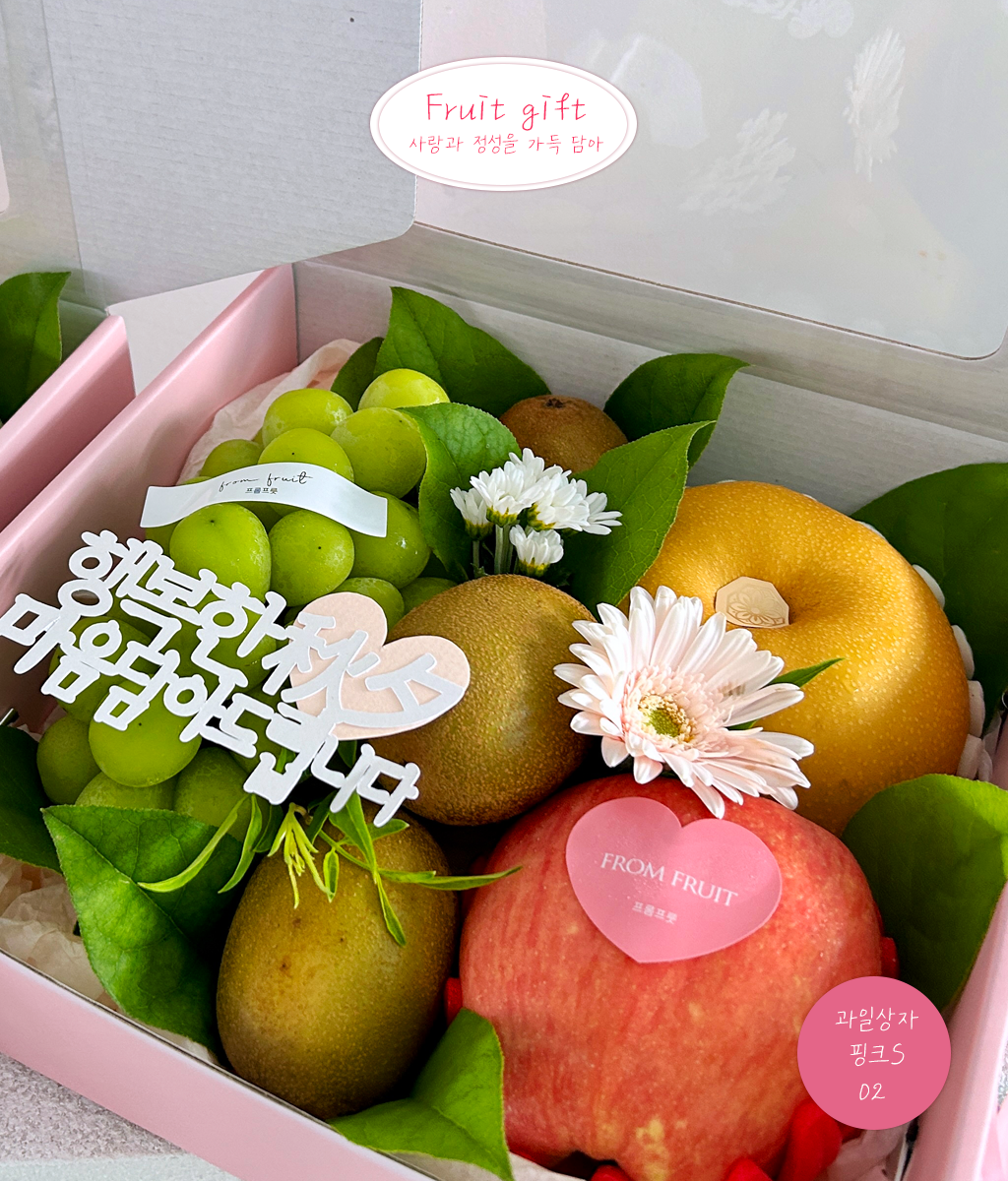Fruit Gift - pink box 02 ���� �ɹ��