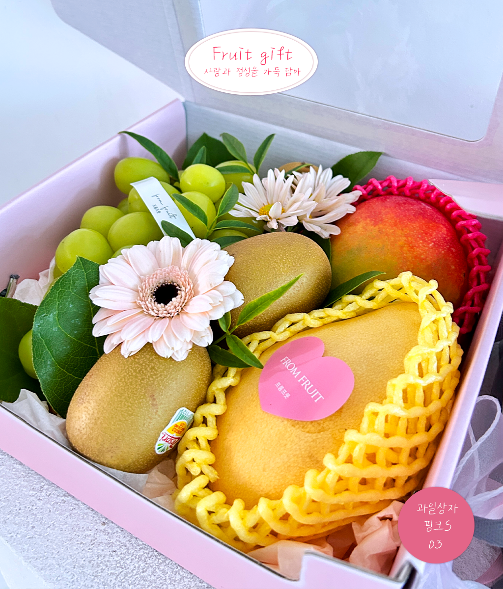 Fruit Gift - pink box 03 ���� �ɹ��