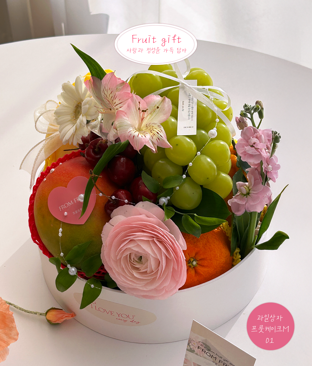 Fruit Gift - fruit cake M 01 ���� �ɹ��