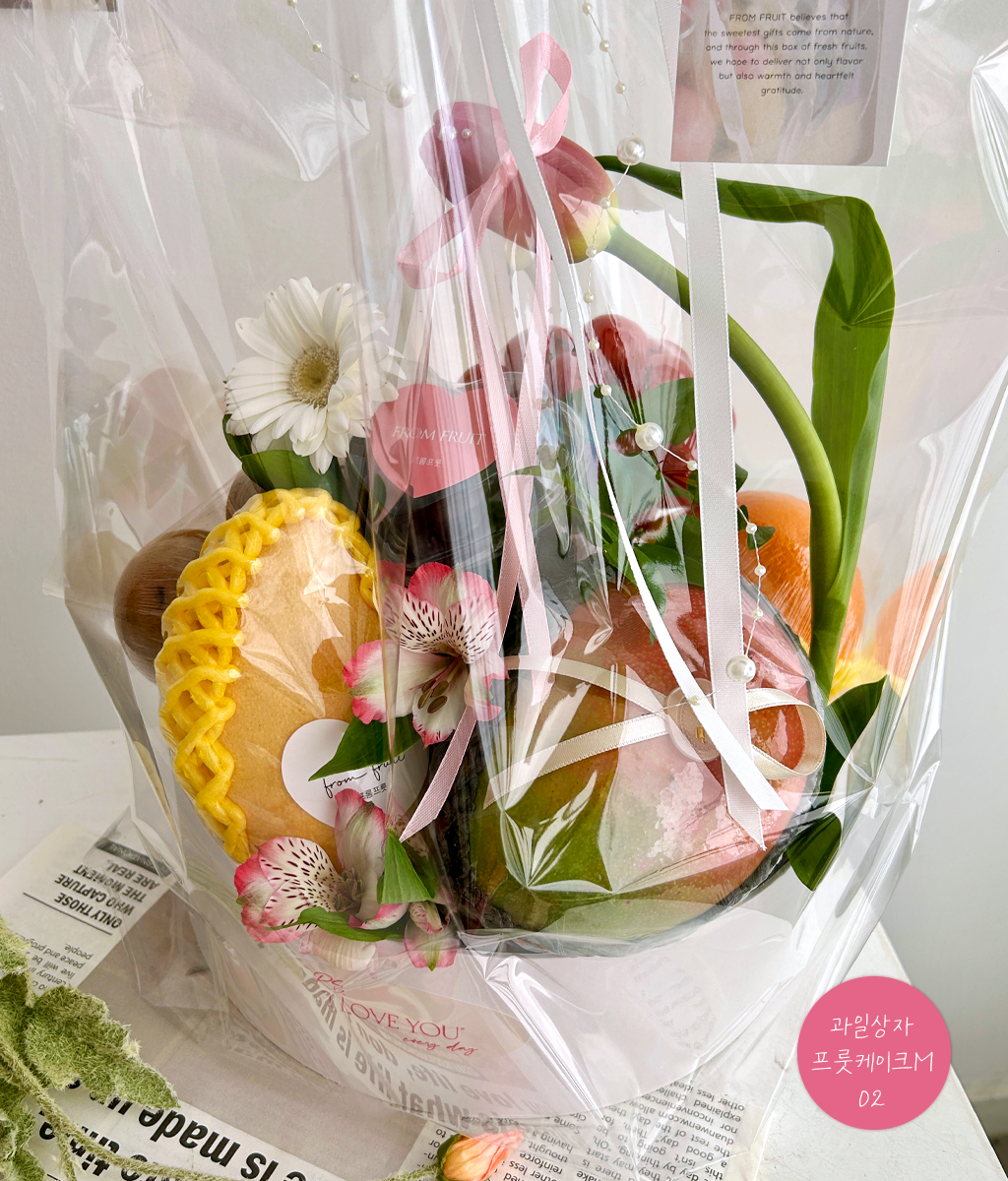 Fruit Gift - fruit cake M 02 ���� �ɹ��