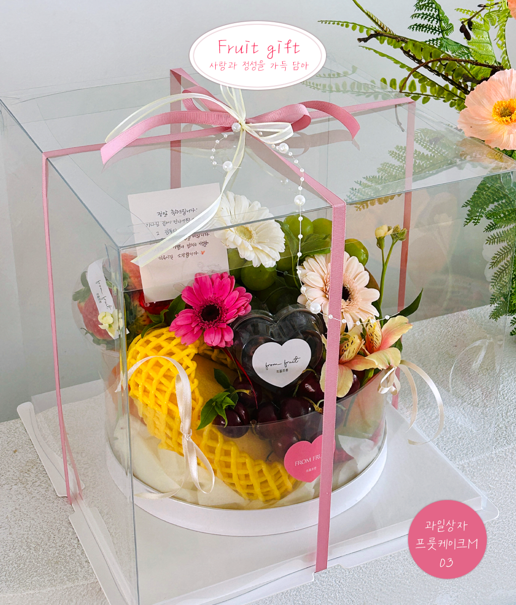 Fruit Gift - fruit cake M 03 ���� �ɹ��