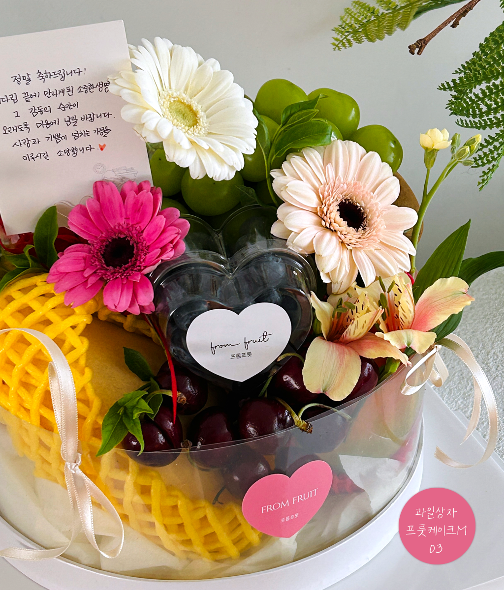 Fruit Gift - fruit cake M 03 ���� �ɹ��