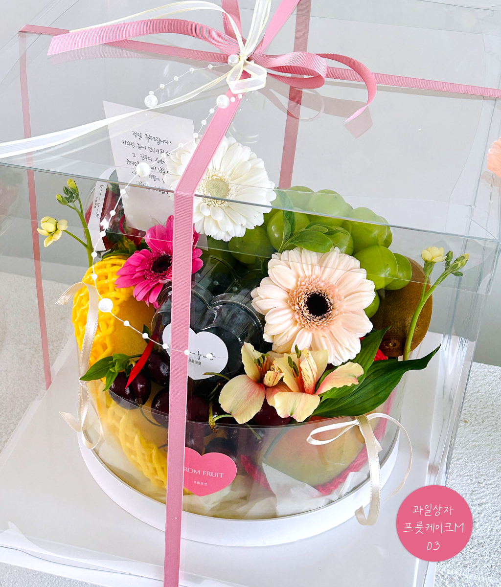Fruit Gift - fruit cake M 03 ���� �ɹ��
