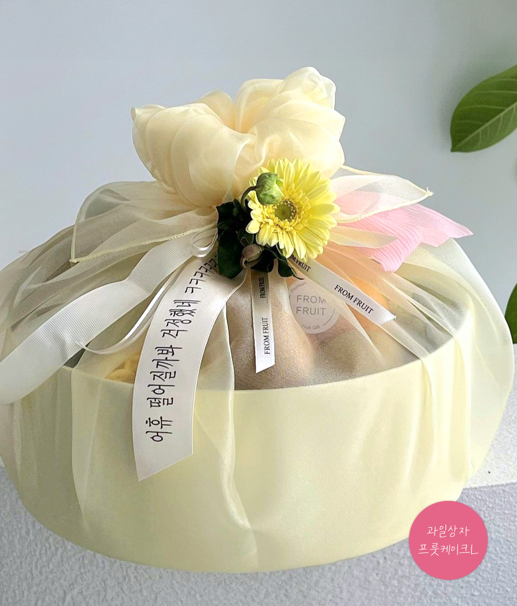 Fruit Gift - fruit cake L ���� �ɹ��