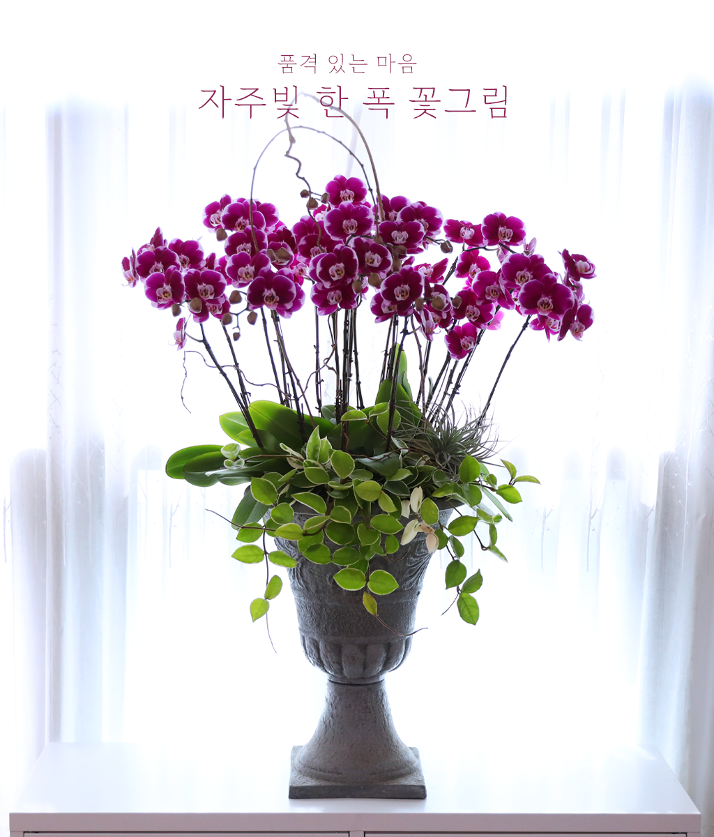 ���ֺ� �� �� �ɱ׸� - ������ �� ���� �ɹ��