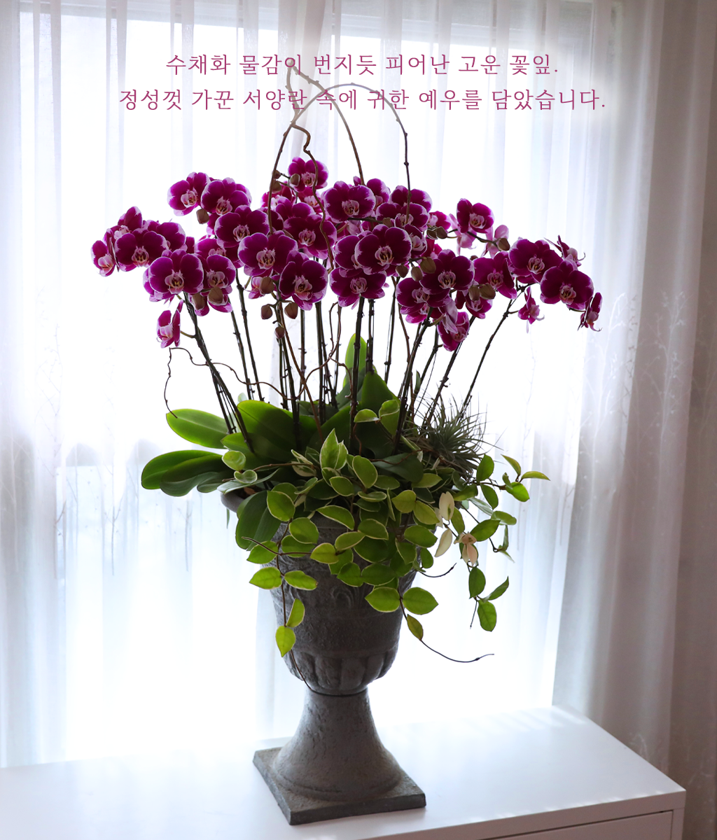 ���ֺ� �� �� �ɱ׸� - ������ �� ���� �ɹ��