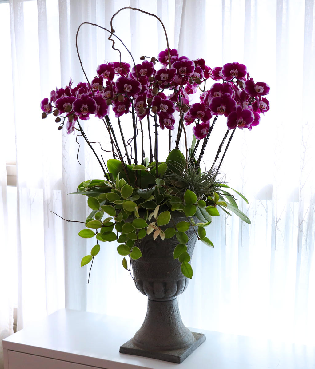 ���ֺ� �� �� �ɱ׸� - ������ �� ���� �ɹ��