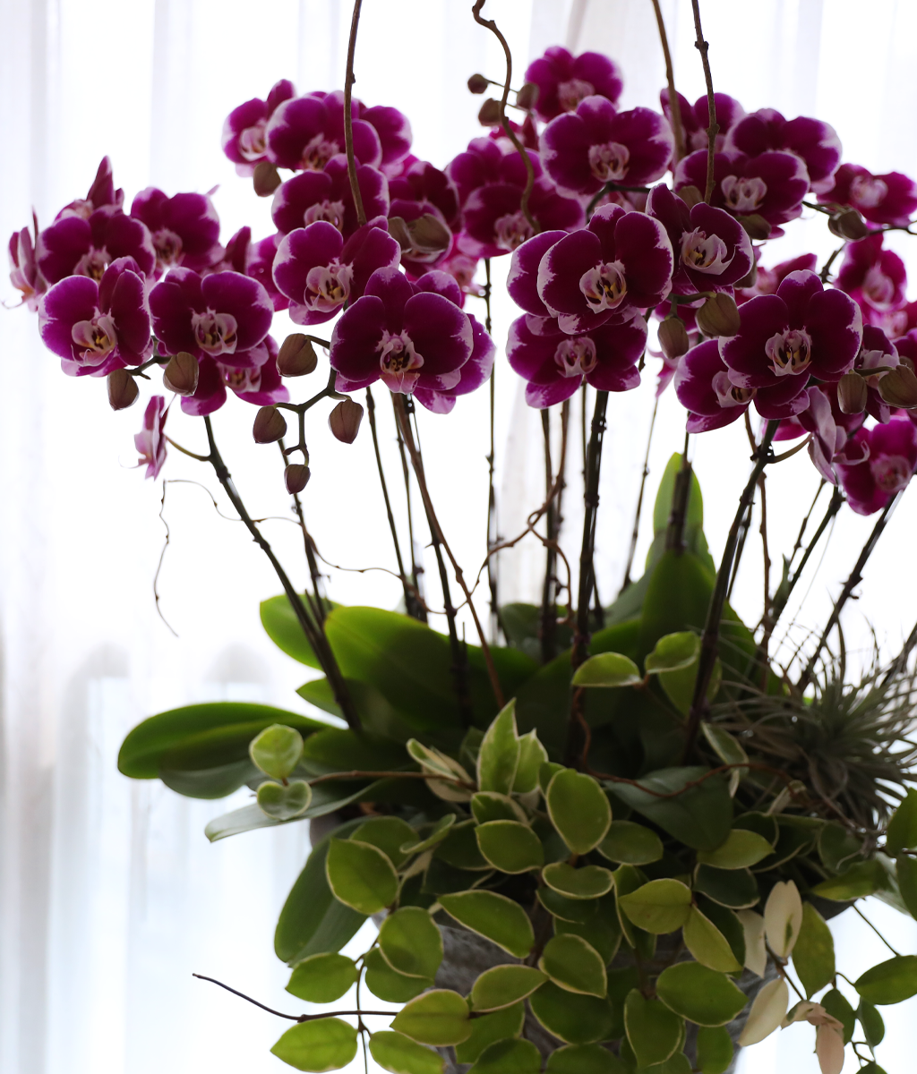 ���ֺ� �� �� �ɱ׸� - ������ �� ���� �ɹ��