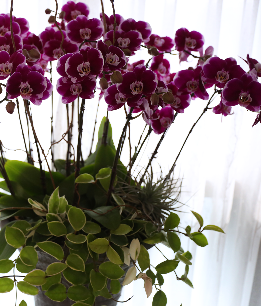 ���ֺ� �� �� �ɱ׸� - ������ �� ���� �ɹ��