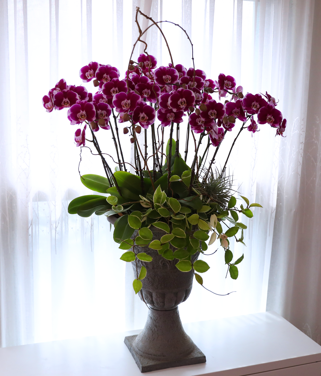 ���ֺ� �� �� �ɱ׸� - ������ �� ���� �ɹ��