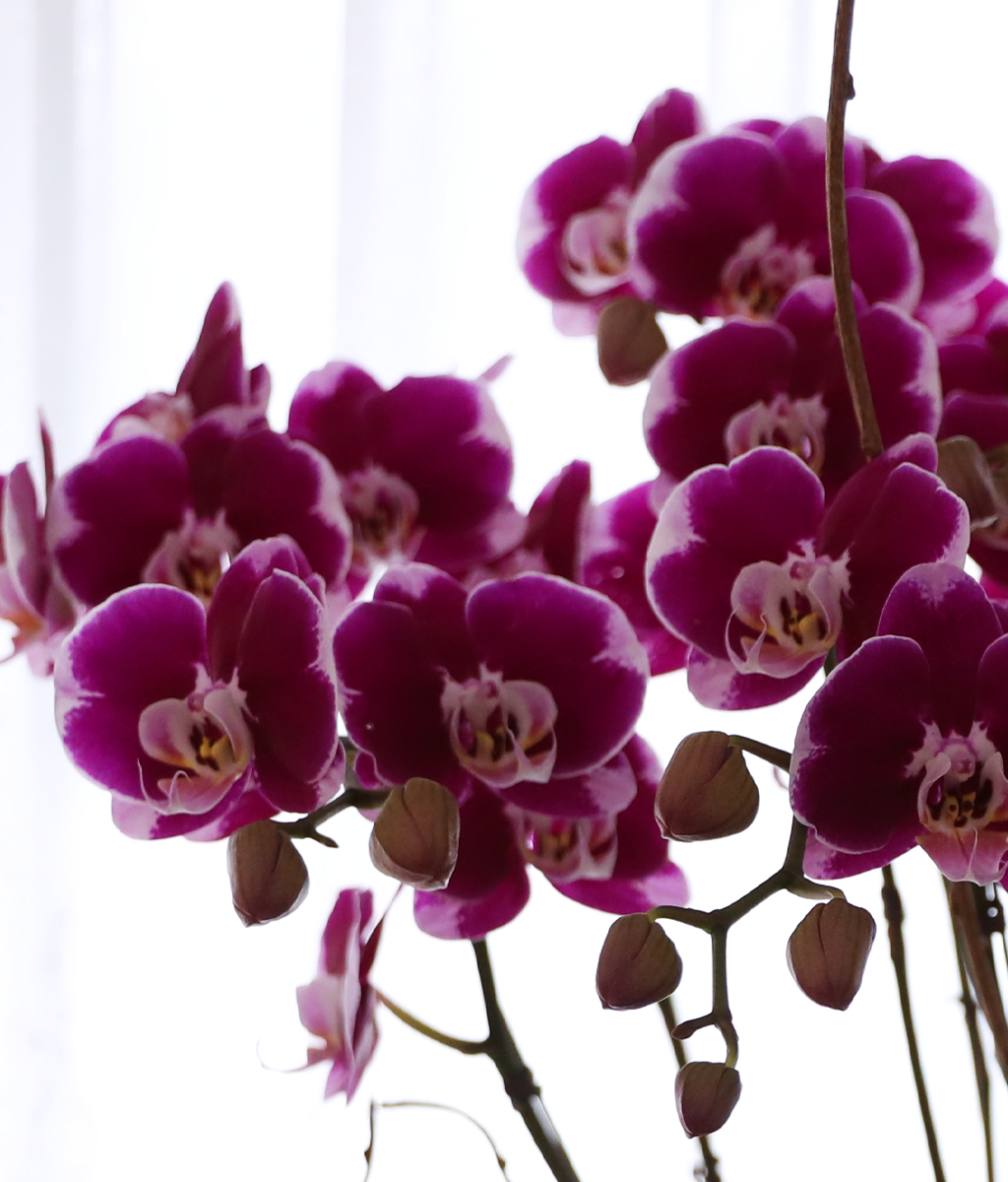 ���ֺ� �� �� �ɱ׸� - ������ �� ���� �ɹ��