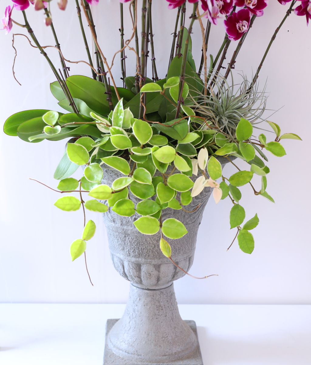 ���ֺ� �� �� �ɱ׸� - ������ �� ���� �ɹ��