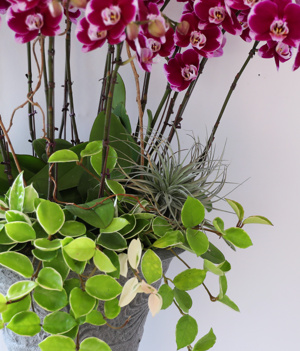 ���ֺ� �� �� �ɱ׸� - ������ �� ���� �ɹ��