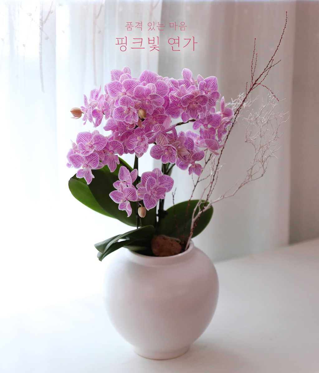 ��ũ�� ���� - ������ �� ���� �ɹ��