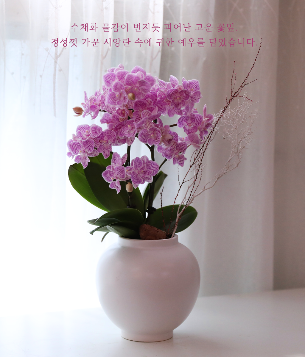 ��ũ�� ���� - ������ �� ���� �ɹ��