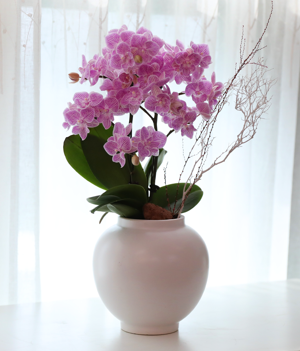 ��ũ�� ���� - ������ �� ���� �ɹ��