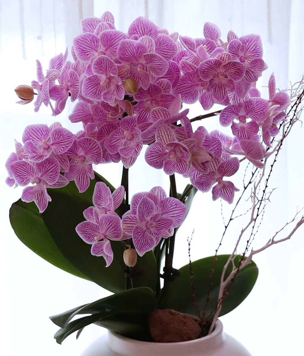 ��ũ�� ���� - ������ �� ���� �ɹ��