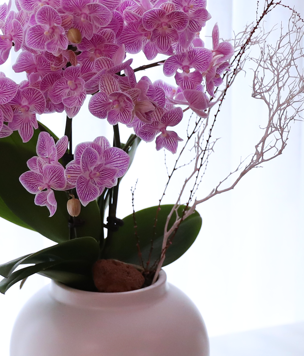 ��ũ�� ���� - ������ �� ���� �ɹ��