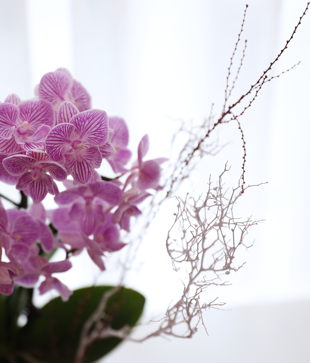 ��ũ�� ���� - ������ �� ���� �ɹ��