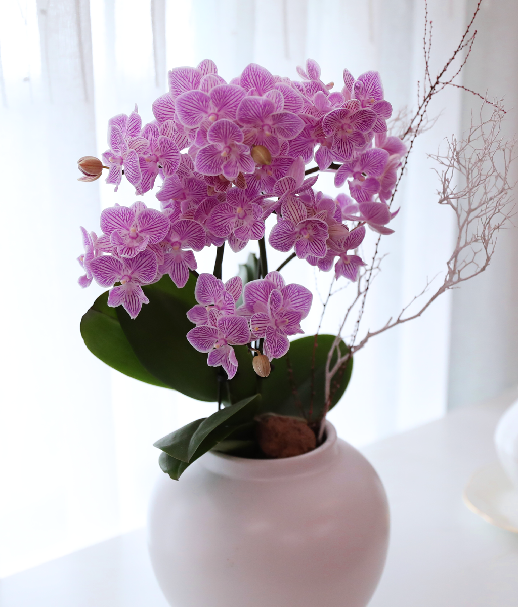 ��ũ�� ���� - ������ �� ���� �ɹ��