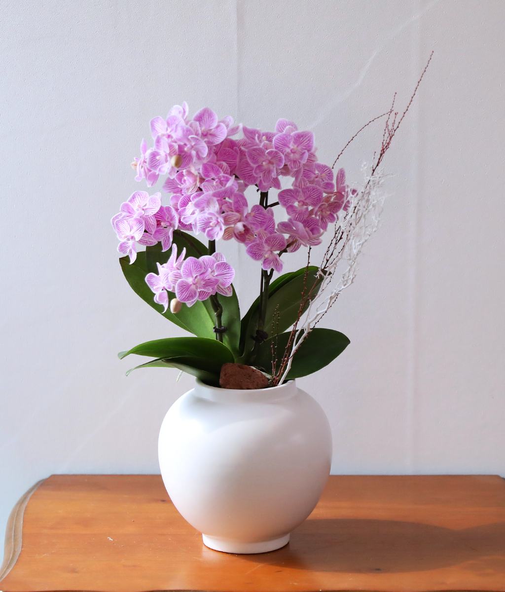 ��ũ�� ���� - ������ �� ���� �ɹ��