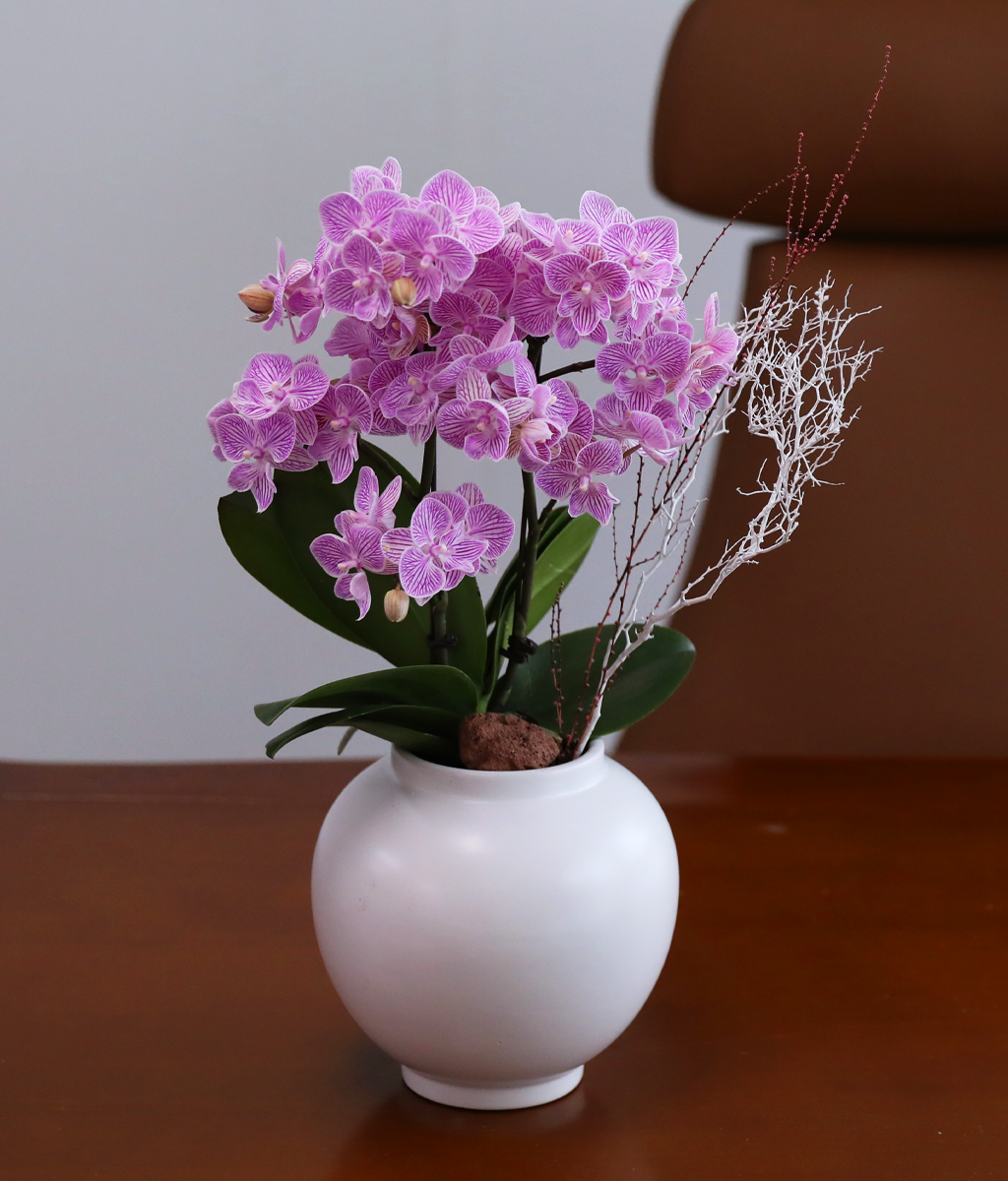 ��ũ�� ���� - ������ �� ���� �ɹ��