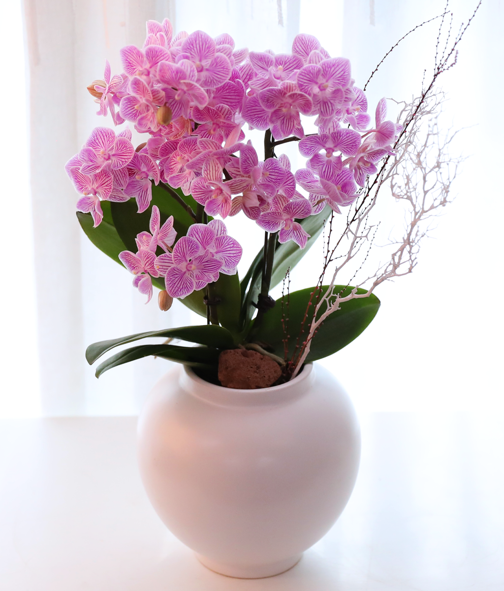 ��ũ�� ���� - ������ �� ���� �ɹ��