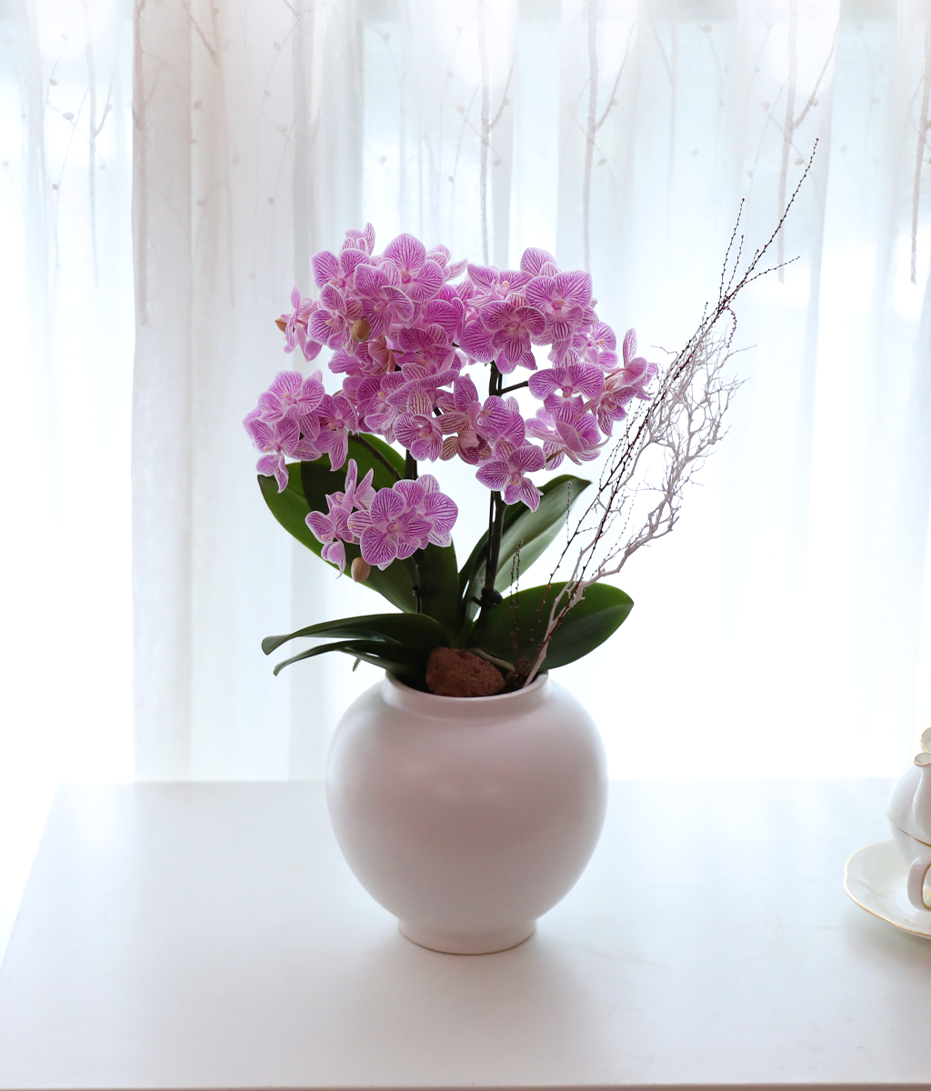 ��ũ�� ���� - ������ �� ���� �ɹ��