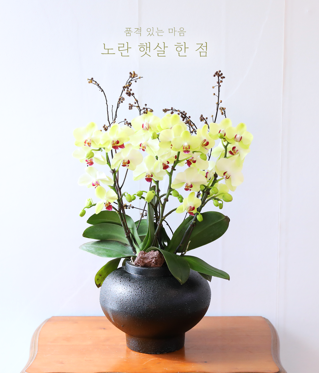 ��� �޻� �� �� - ������ �� ���� �ɹ��