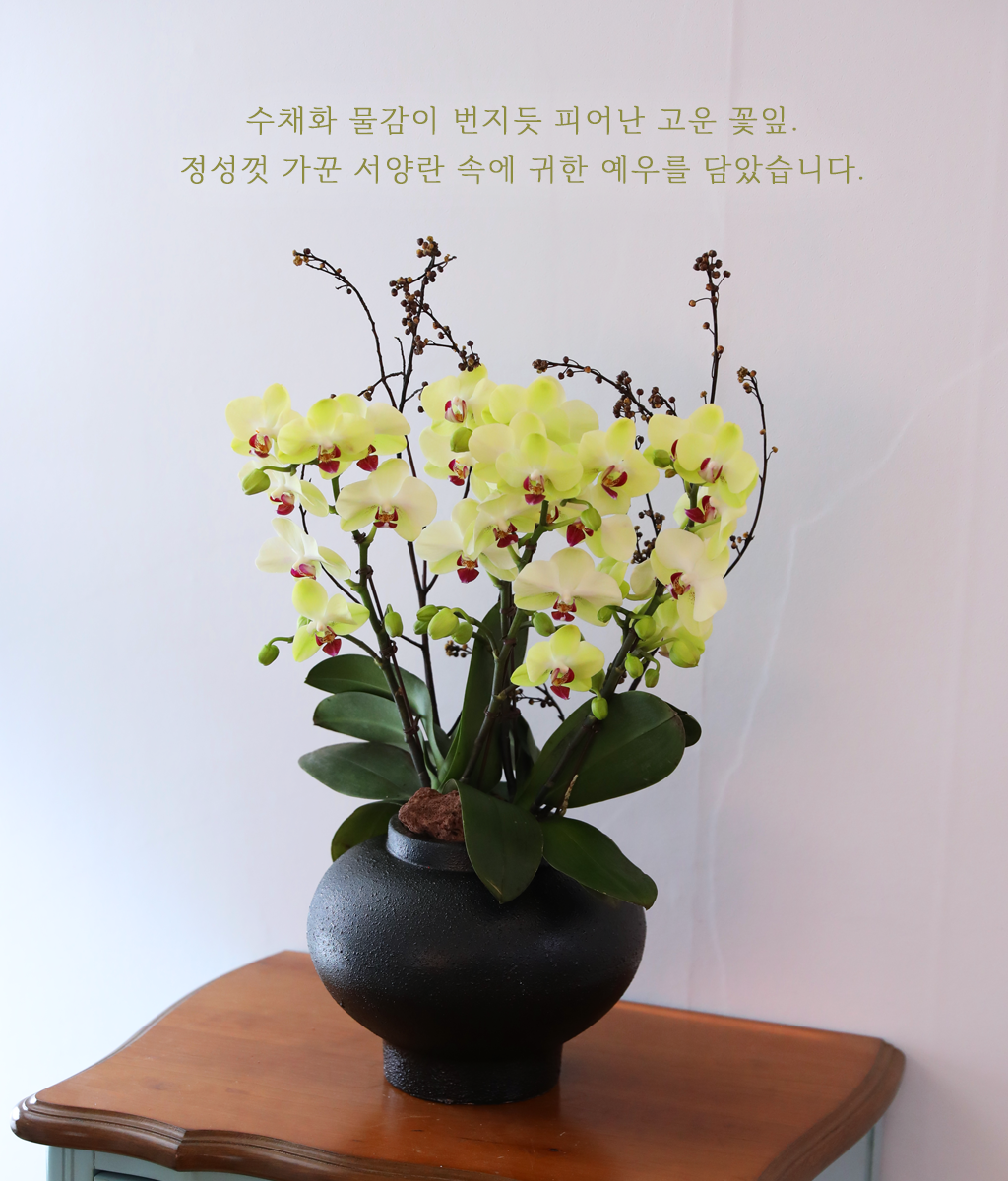 ��� �޻� �� �� - ������ �� ���� �ɹ��