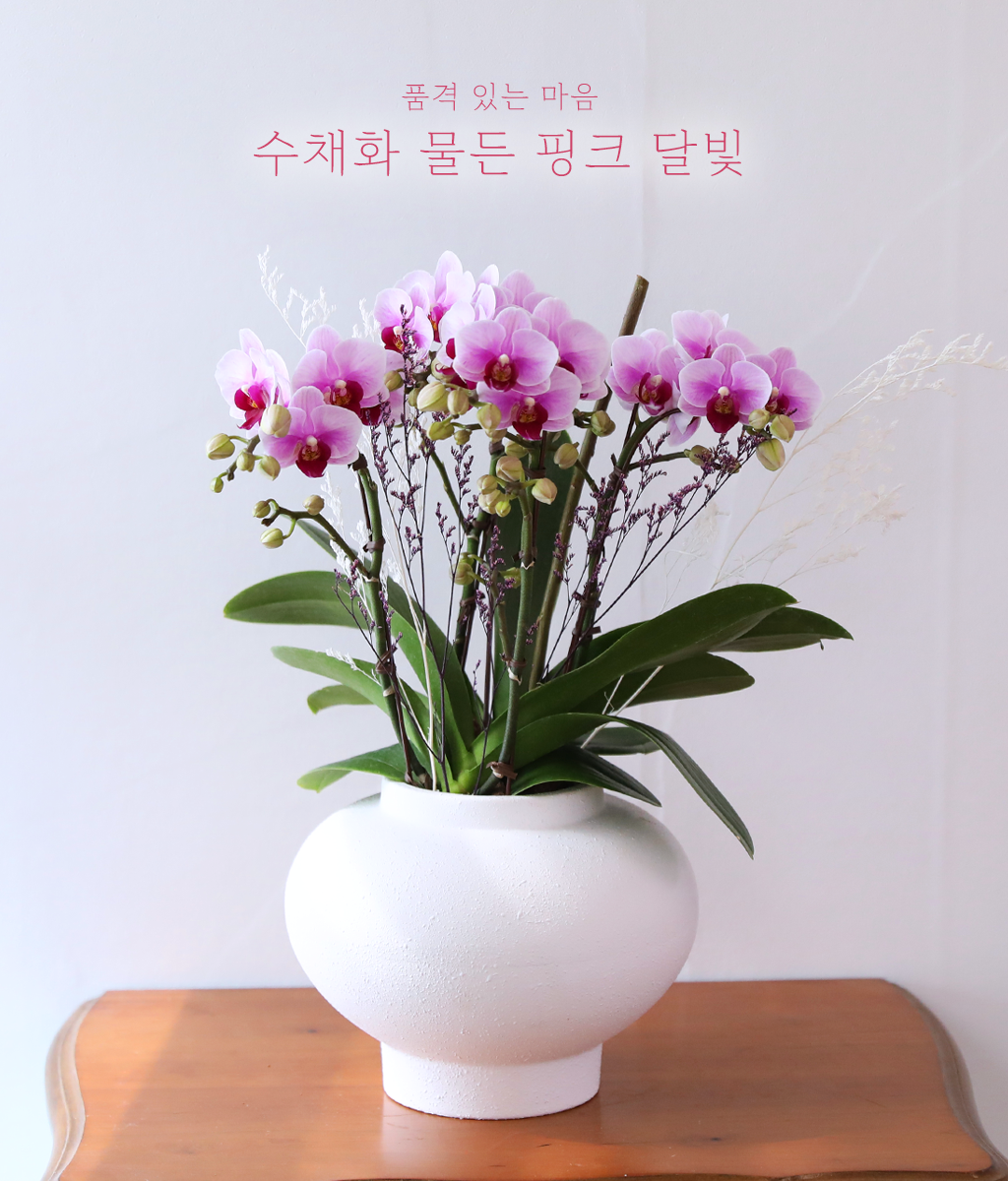 ��äȭ ���� ��ũ �޺� - ������ �� ���� �ɹ��