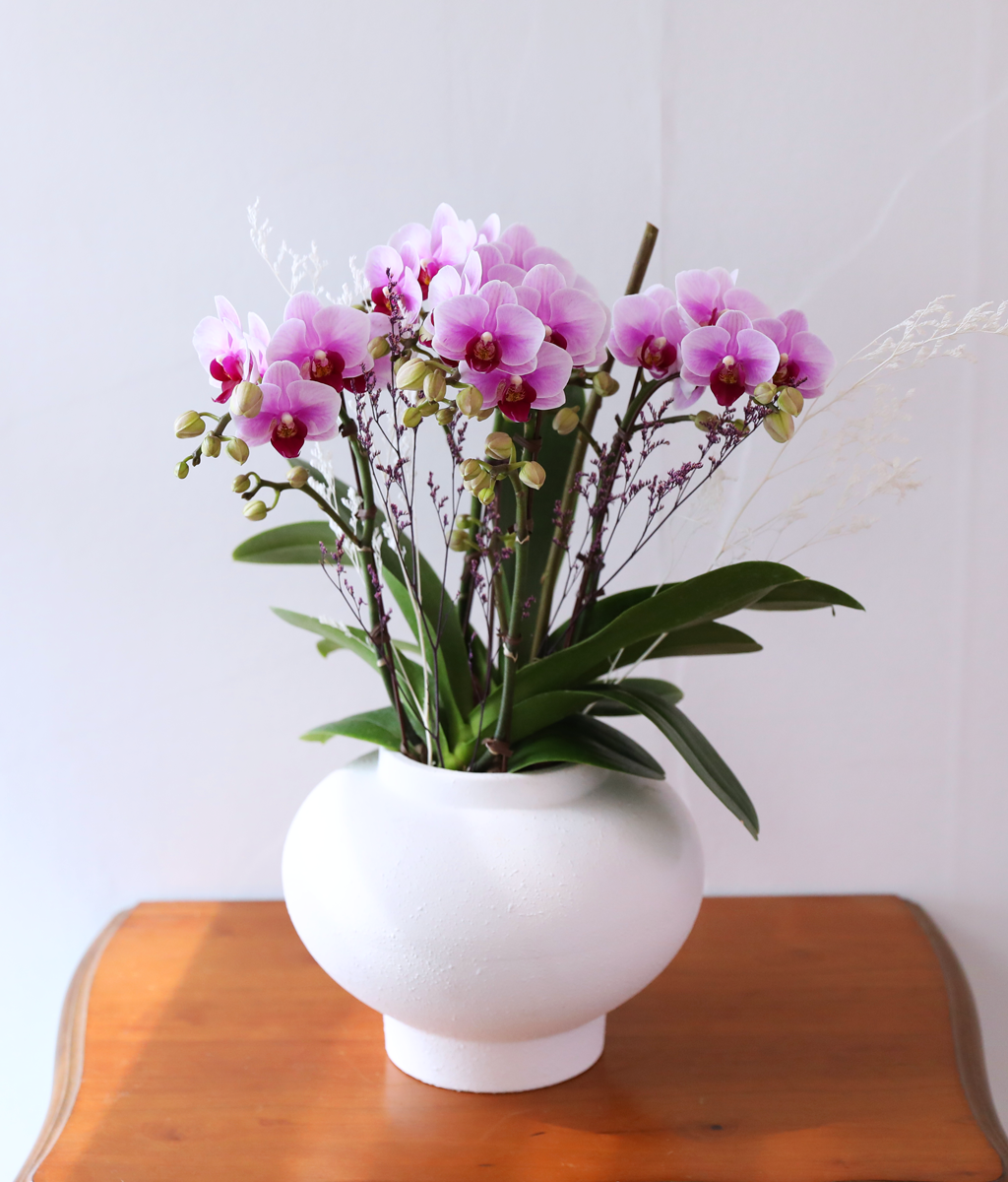 ��äȭ ���� ��ũ �޺� - ������ �� ���� �ɹ��