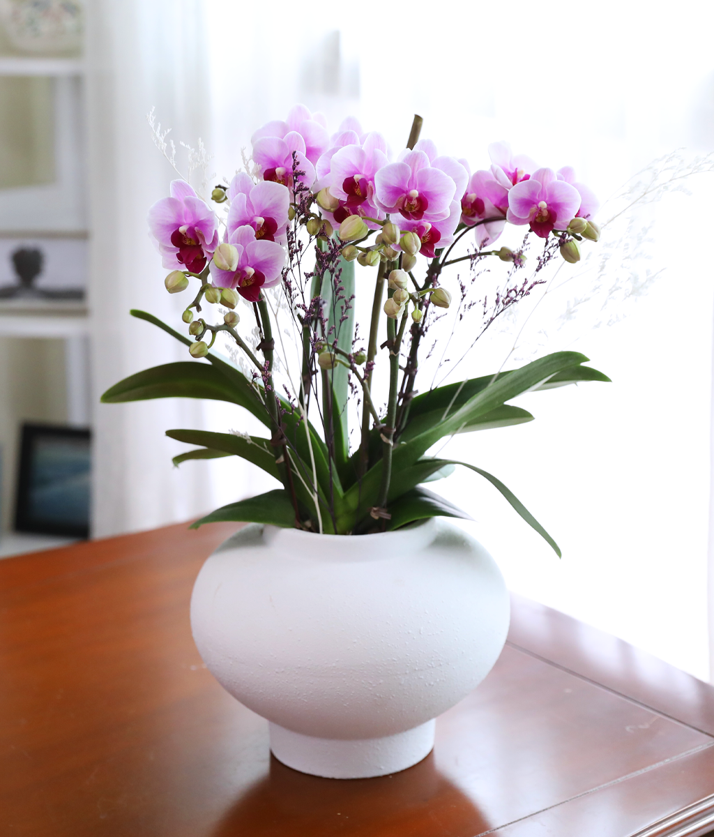 ��äȭ ���� ��ũ �޺� - ������ �� ���� �ɹ��