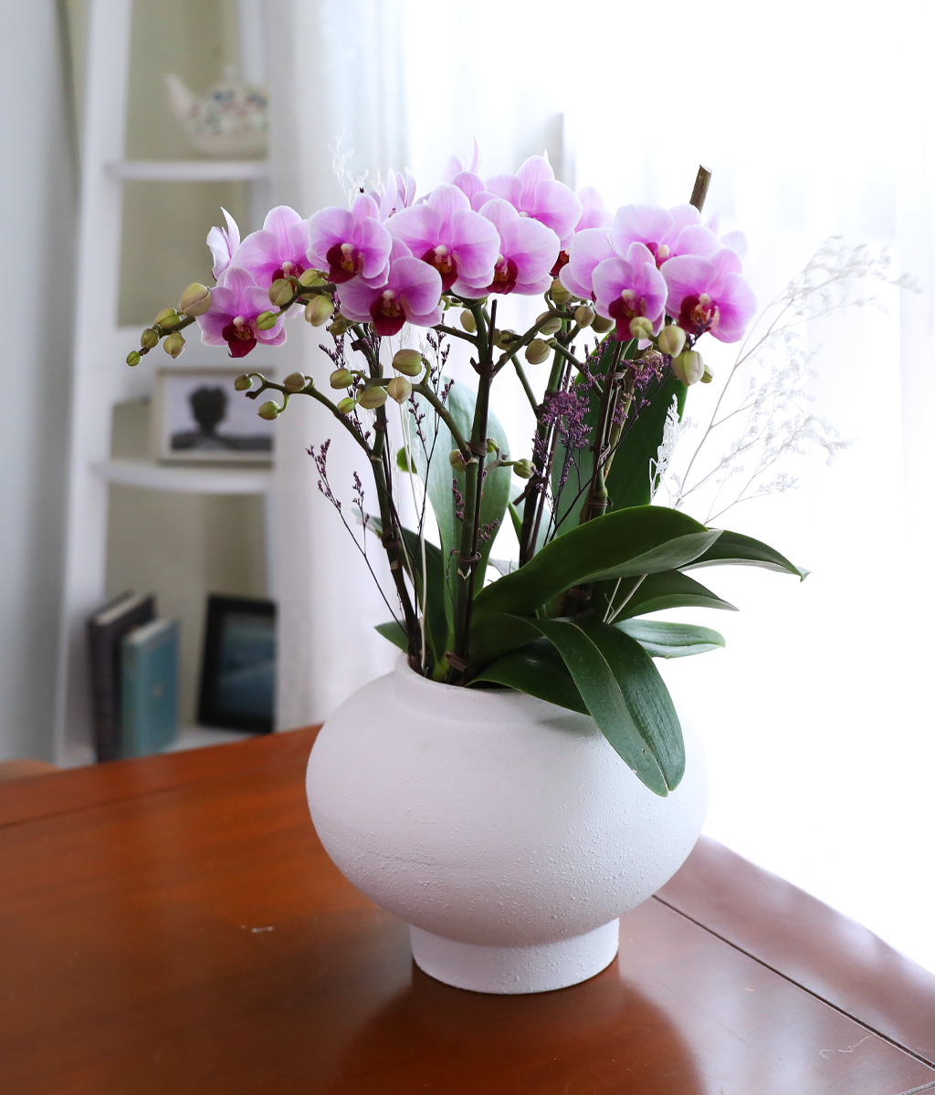 ��äȭ ���� ��ũ �޺� - ������ �� ���� �ɹ��