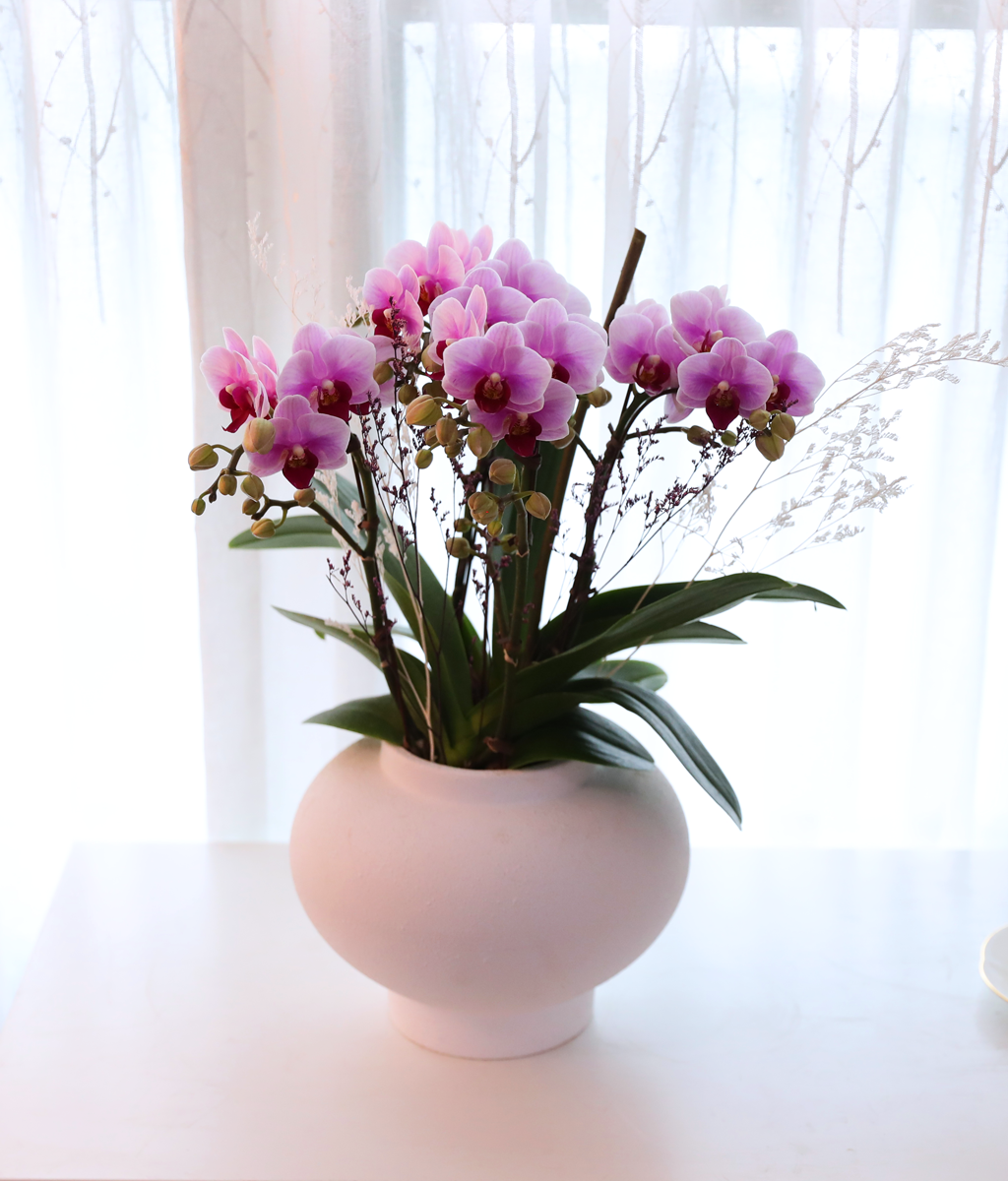 ��äȭ ���� ��ũ �޺� - ������ �� ���� �ɹ��