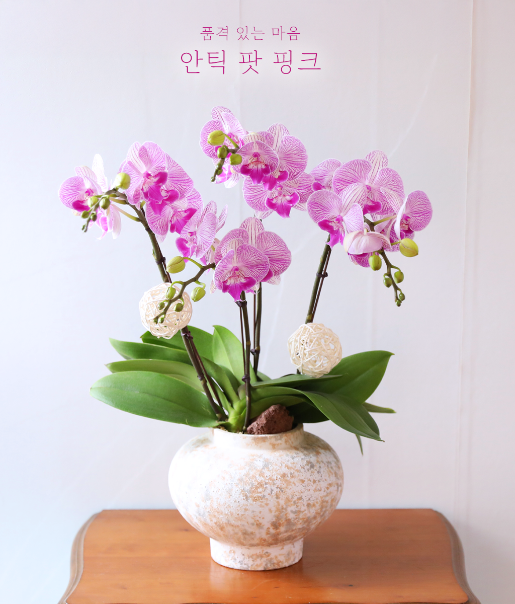 ��ƽ �� ��ũ - ������ �� ���� �ɹ��