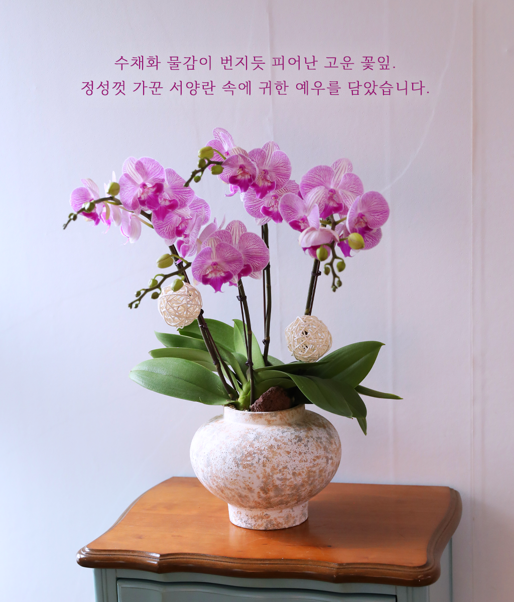 ��ƽ �� ��ũ - ������ �� ���� �ɹ��