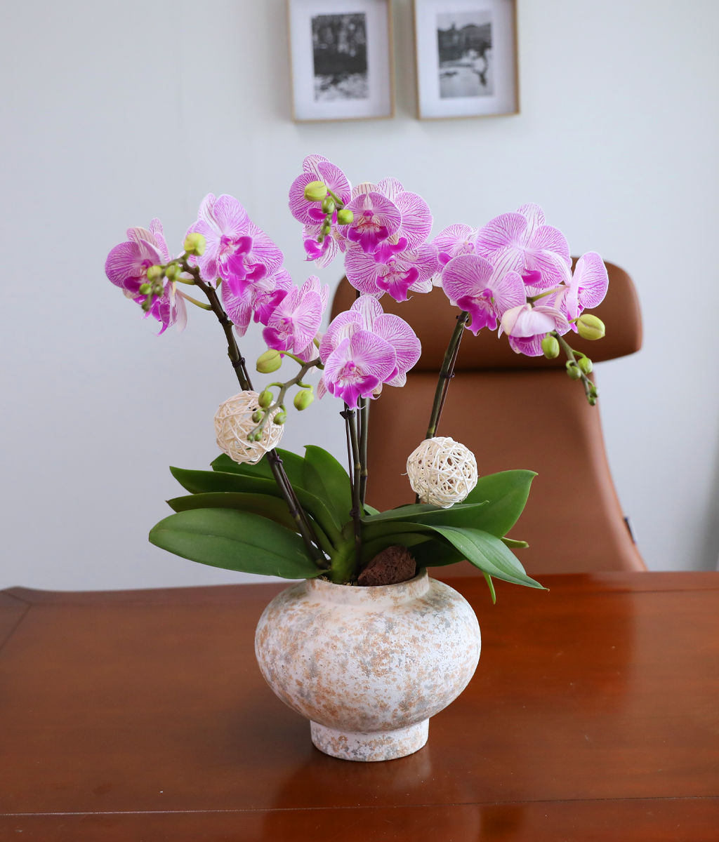 ��ƽ �� ��ũ - ������ �� ���� �ɹ��